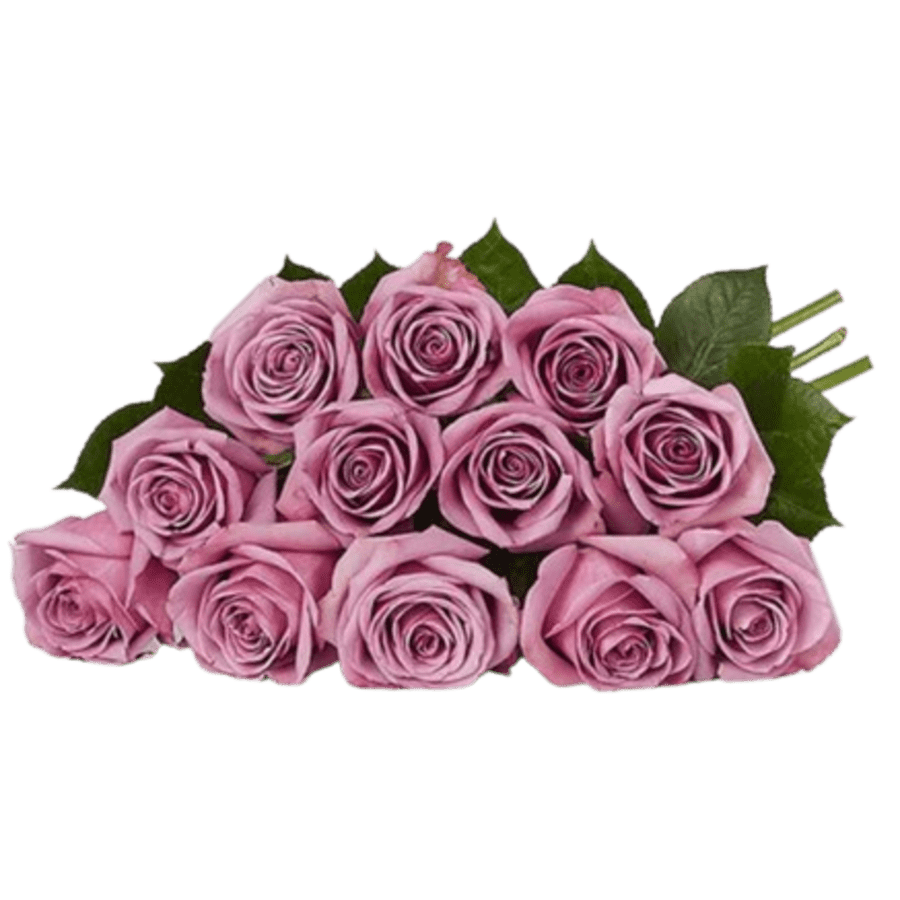 1-800-Flowers Sale: Up to 30% off + extra 20% off 1-800-Flowers Sale: Up to 30% off + extra 20% off