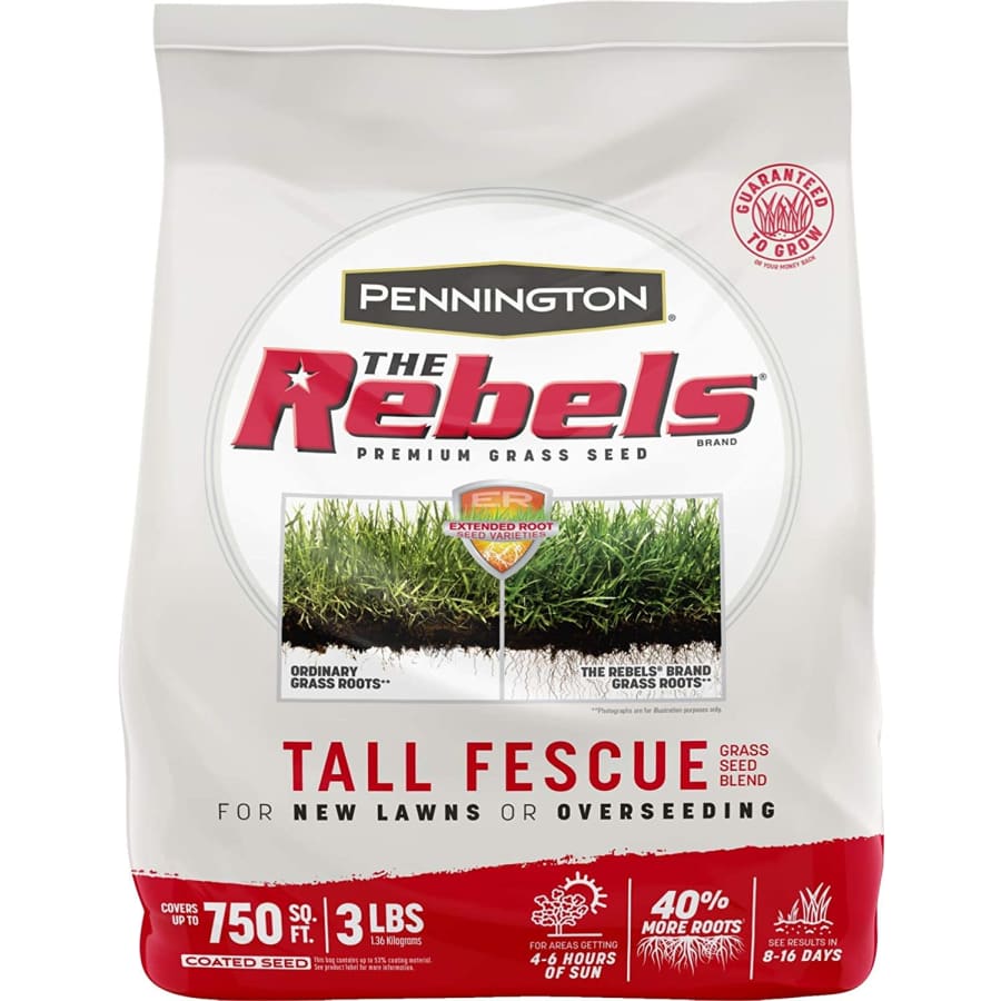 Pennington The Rebels 3-lbs.Tall Fescue Grass Seed Blend for $16
