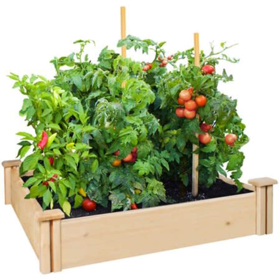 Greenes Fence 42" x 42" x 5.5" Cedar Raised Garden Bed for $30