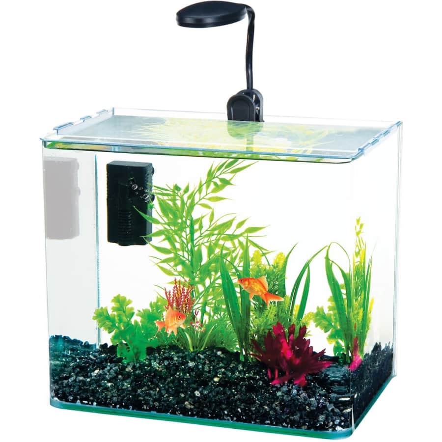 Fish Tanks & Aquariums at Chewy: Up to 43% off