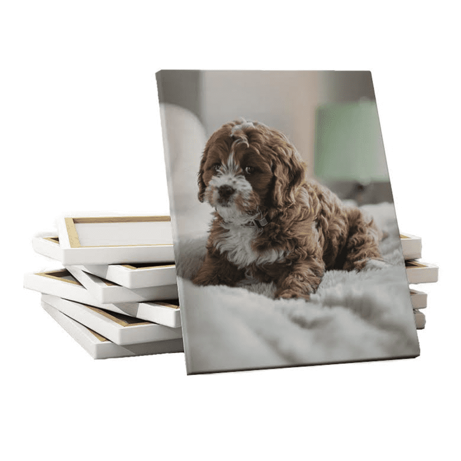 10" x 8" or 8" x 10" Canvas Print 2-Pack from Canvas Champ for $14