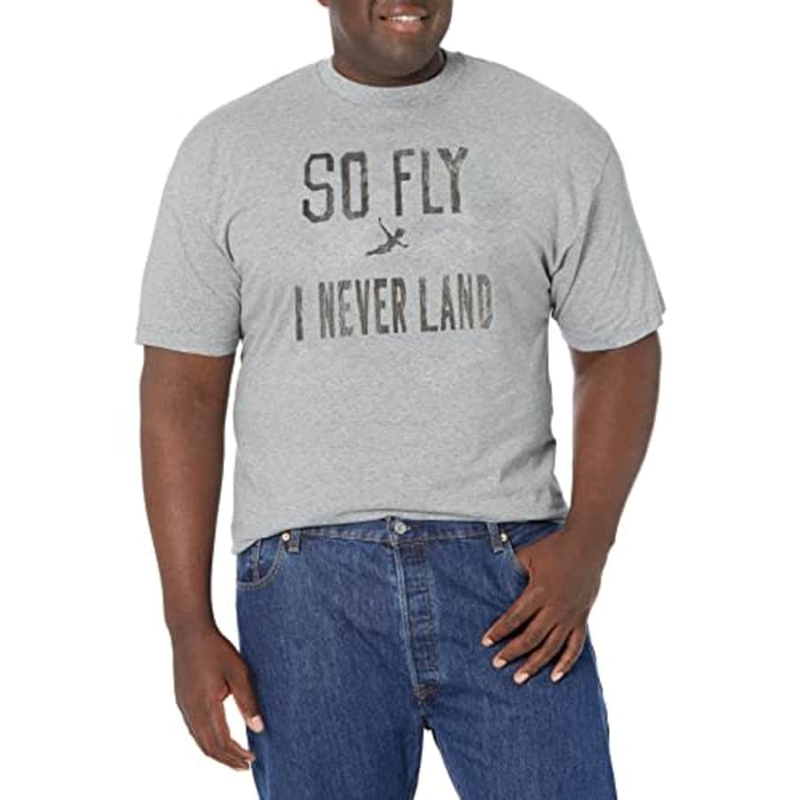 Disney Big & Tall Tinkerbell So Fly Marker Men's Tops Short Sleeve Tee Shirt, Athletic Heather, for $18