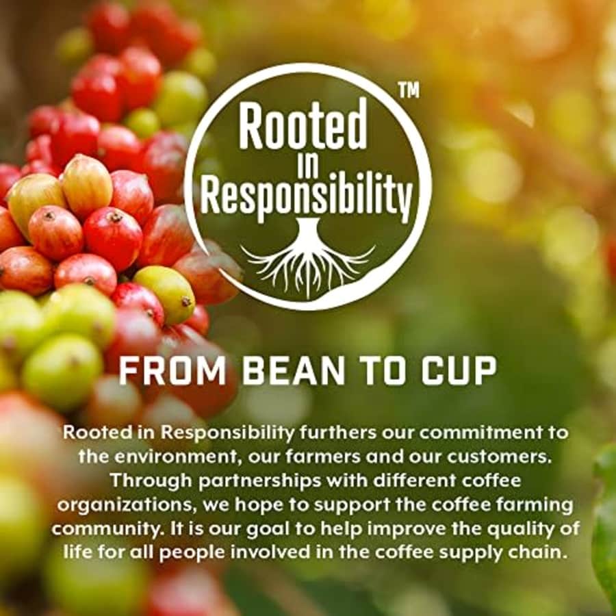 Eight O'Clock Coffee Barista Blends Ground Coffee, Mocha Macchiato, 11 Ounce for $12