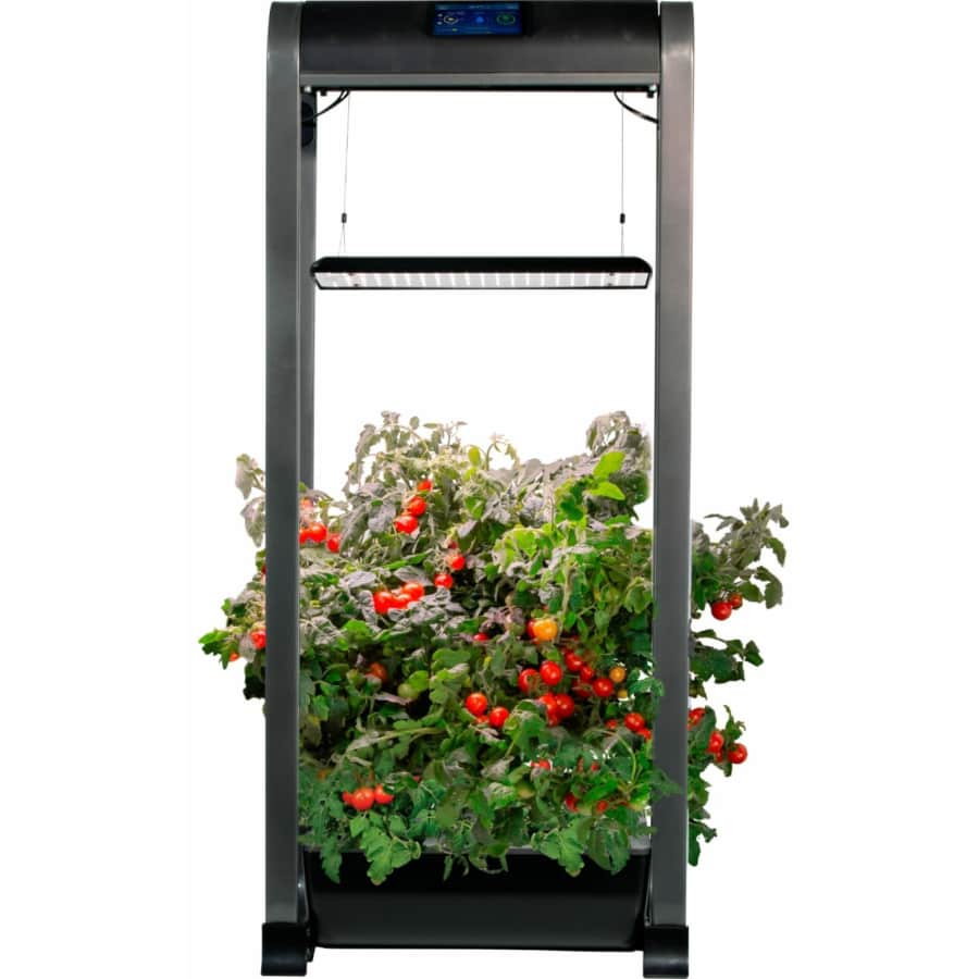 AeroGarden Heirloom Salad Green Farm 12XL Growing Kit for $300