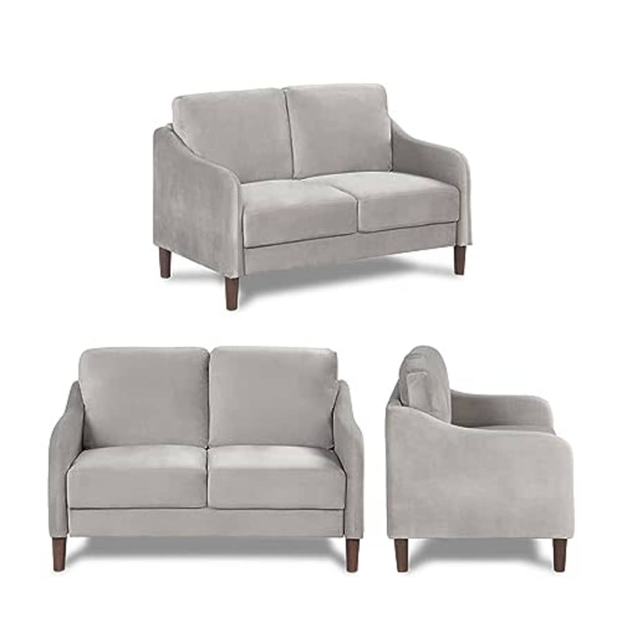 Furniture of America Diana Mid Century Modern Velvet Loveseat with Solid Wood Legs, No Tools for $233