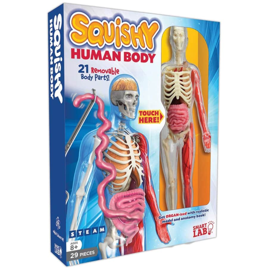 SmartLab Toys 29-Piece Squishy Human Body Kit for $13