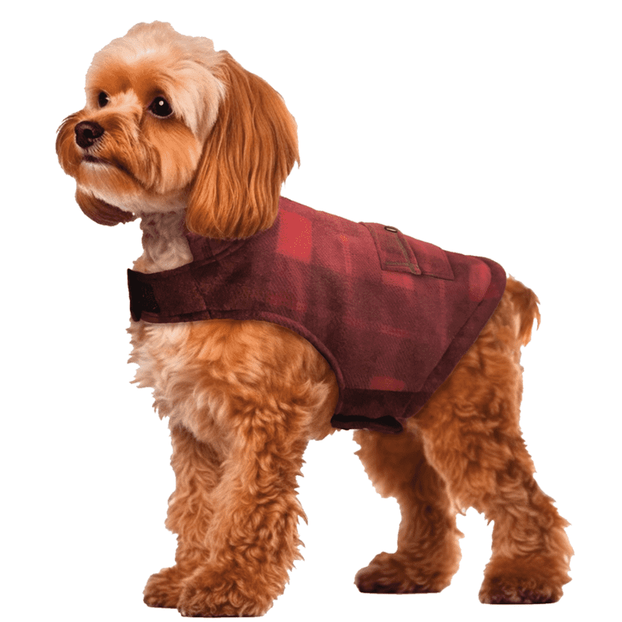Free Country Chill Out Fleece Sherpa Lined Dog Jacket for $13 Free Country Chill Out Fleece Sherpa Lined Dog Jacket for $13