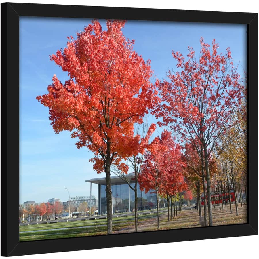 Medog 11" x 14" Picture Frame for $6