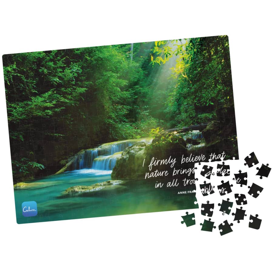 Spin Master 300-Piece Calm Jigsaw Puzzle for $2