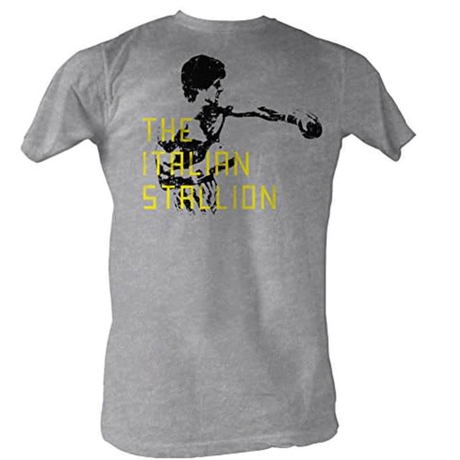 American Classics Men's Karate Kid Fear Does Not Exist T-Shirt,Washed Gold,Large for $27