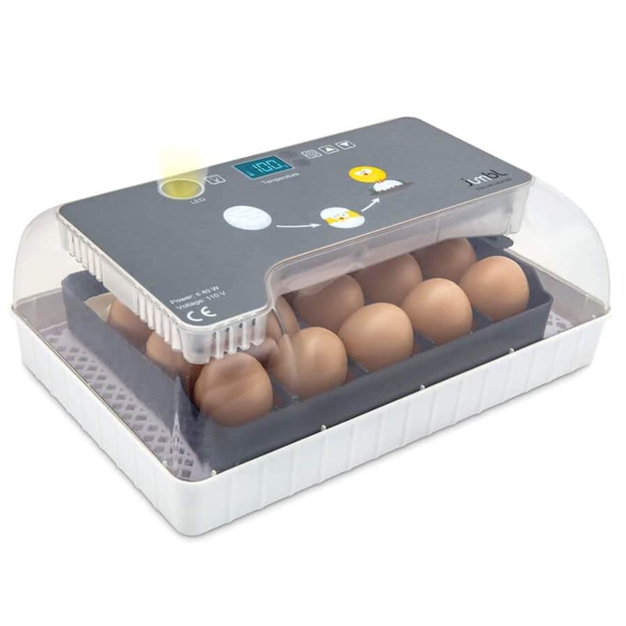 Jumbl Fully Automatic Digital Egg Incubator for $70
