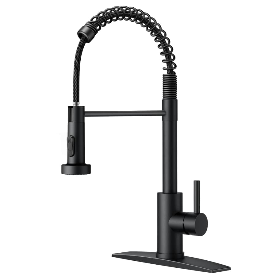 Forious Kitchen Faucet for $20