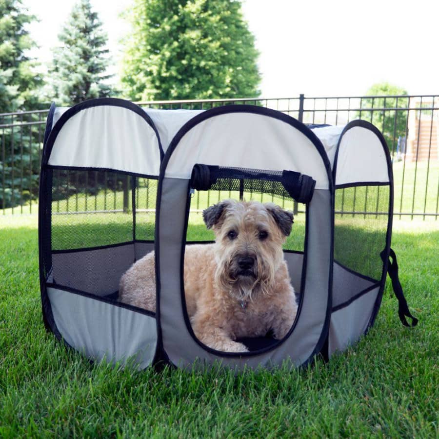 Pawslife Portable Dog Pen for $15 Pawslife Portable Dog Pen for $15