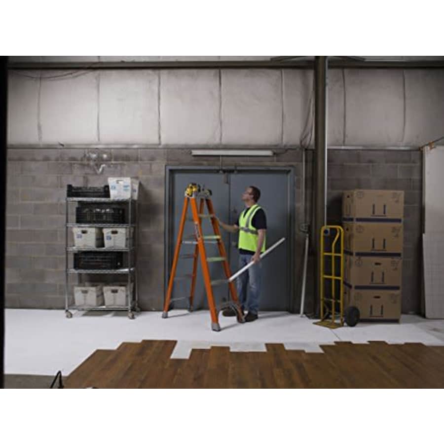 Louisville Ladder FS1508 Ladder, 8-Foot for $245