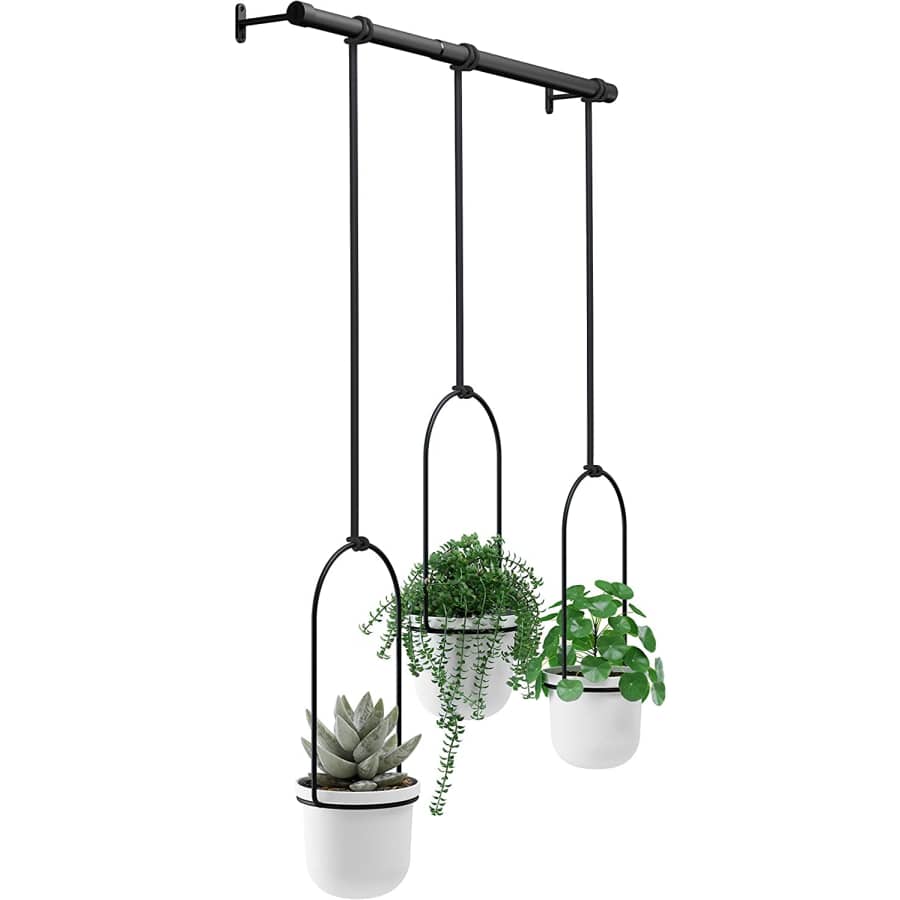 Umbra Triflora Hanging Planter for Windows for $39 Umbra Triflora Hanging Planter for Windows for $39