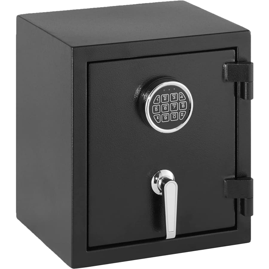Amazon Basics 0.8-Cu. Ft. Fire-Resistant Safe for $156