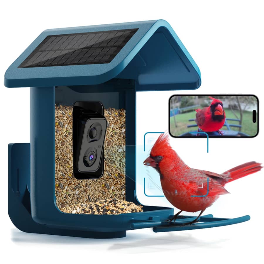 OnlyFly 2K Bird Feeder: $95.89