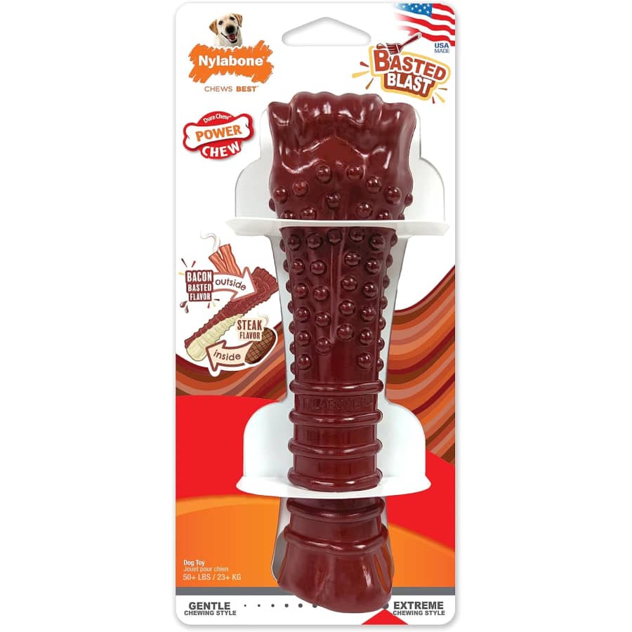 Nylabone Power Chew Basted Blast Dual Flavored Dog Chew Toy for $7