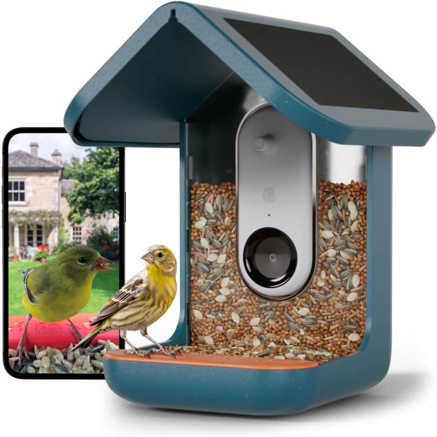 Bird Buddy Original Smart Bird Feeder for $209 Bird Buddy Original Smart Bird Feeder for $209
