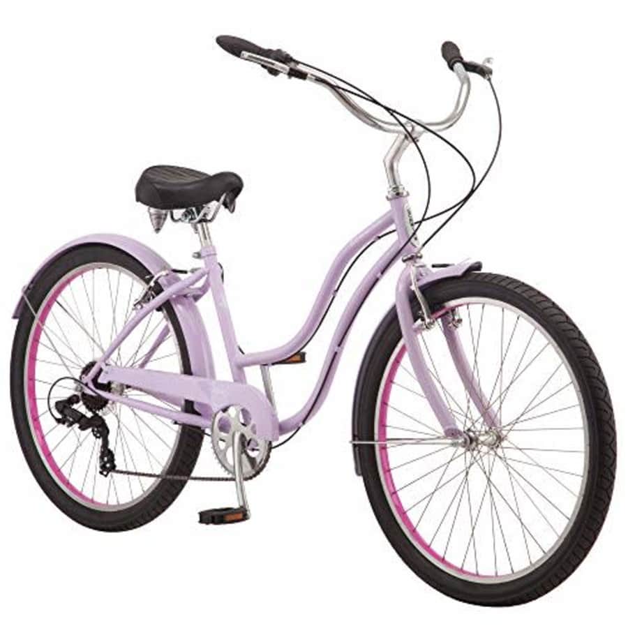 Schwinn Mikko Adult Beach Cruiser Bike, Featuring 17-Inch/Medium Steel Step-Over Frames, 7-Speed for $470