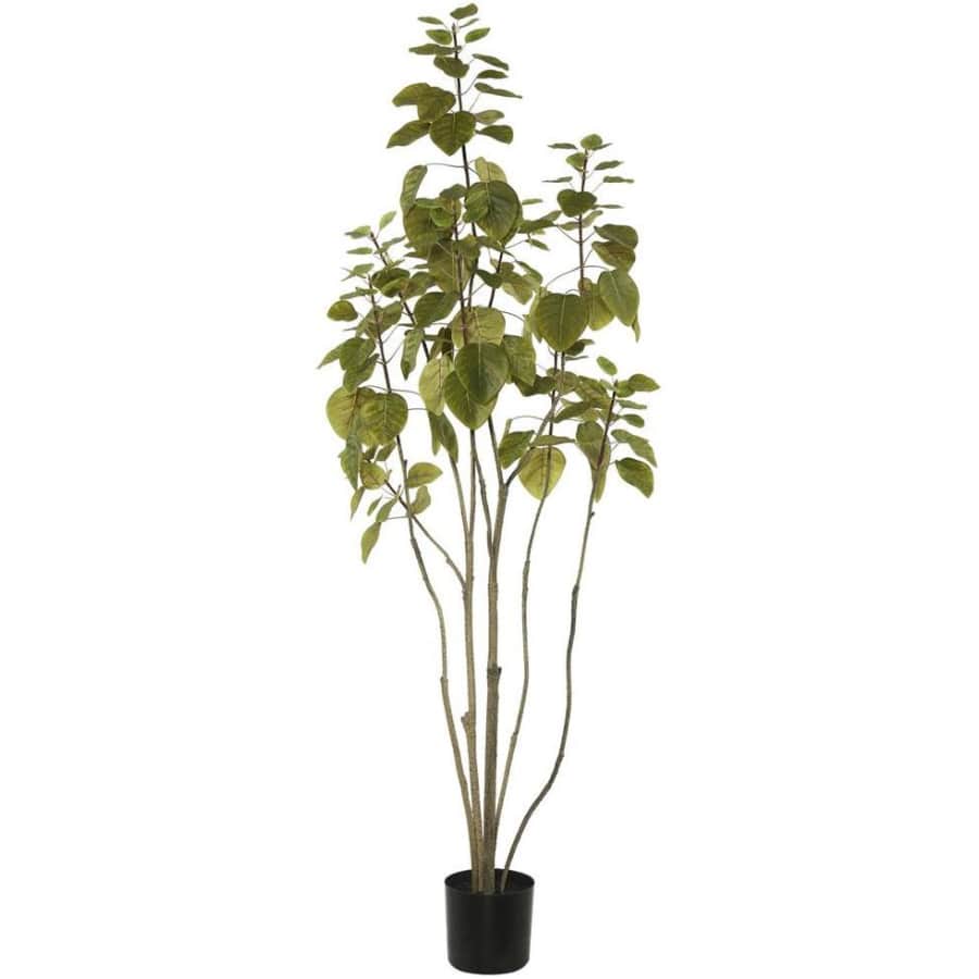 Vickerman 4-Foot Cotinus Coggygria Tree w/ Pot for $43