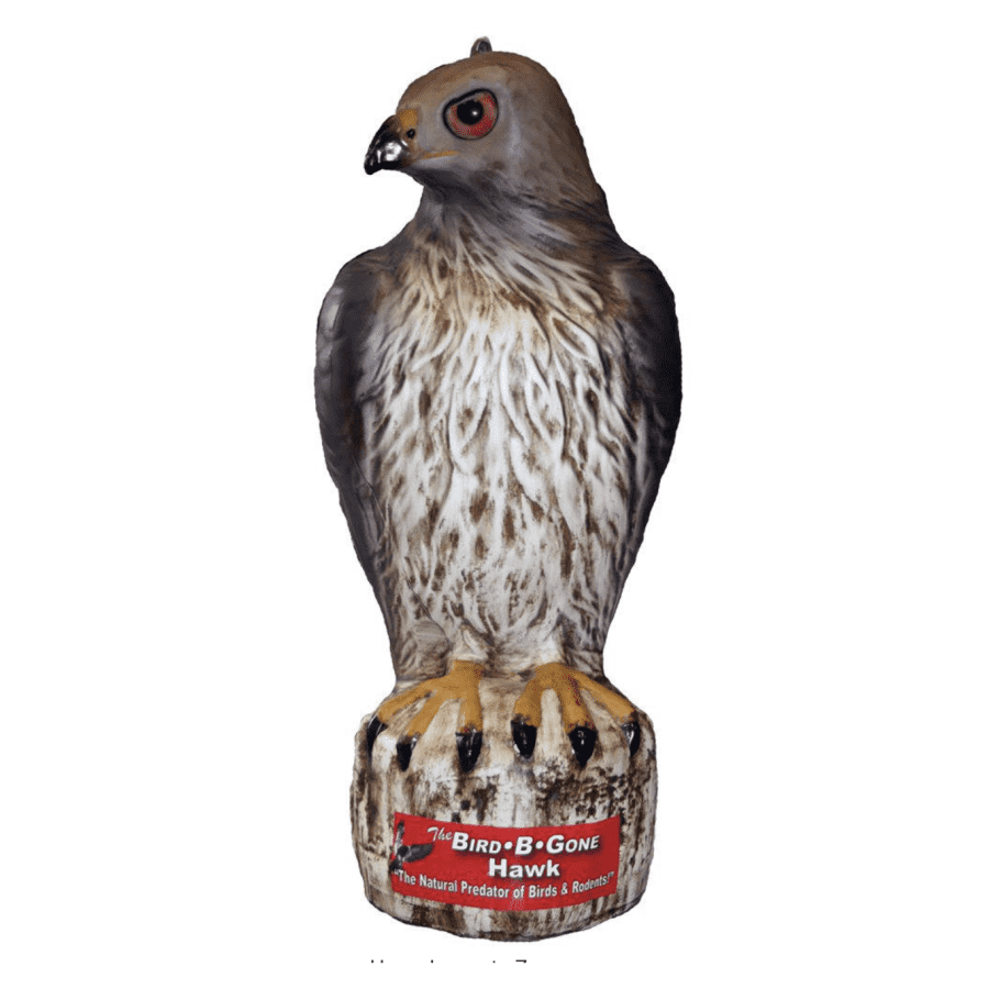 Bird B Gone Hawk Decoy for $9 Bird B Gone Hawk Decoy for $9
