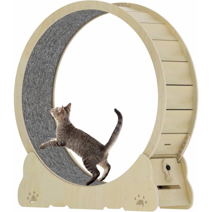 45" Cat Exercise Wheel for $69