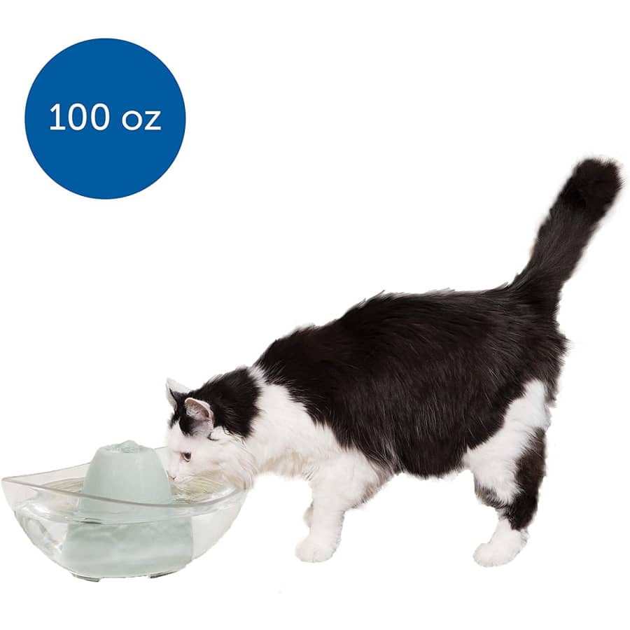 PetSafe Sedona 100-oz. Pet Fountain for $64 PetSafe Sedona 100-oz. Pet Fountain for $64