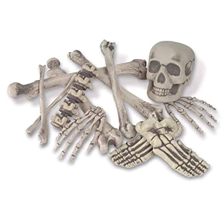 Skeleton Decoration Bone Dcor Beistle 12 Piece Plastic Novelty Skeleton Bones and Skull Horror for $27