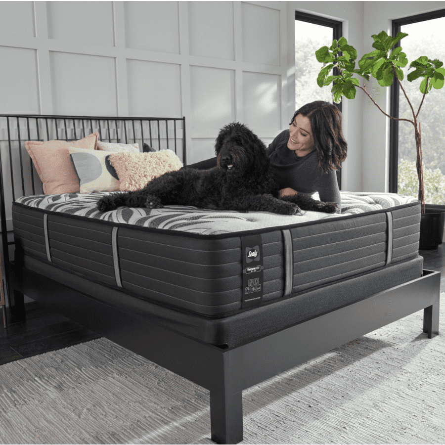 Sealy Posturepedic Plus Victorious II 14" Tight Top Plush Memory Foam Queen Mattress for $839