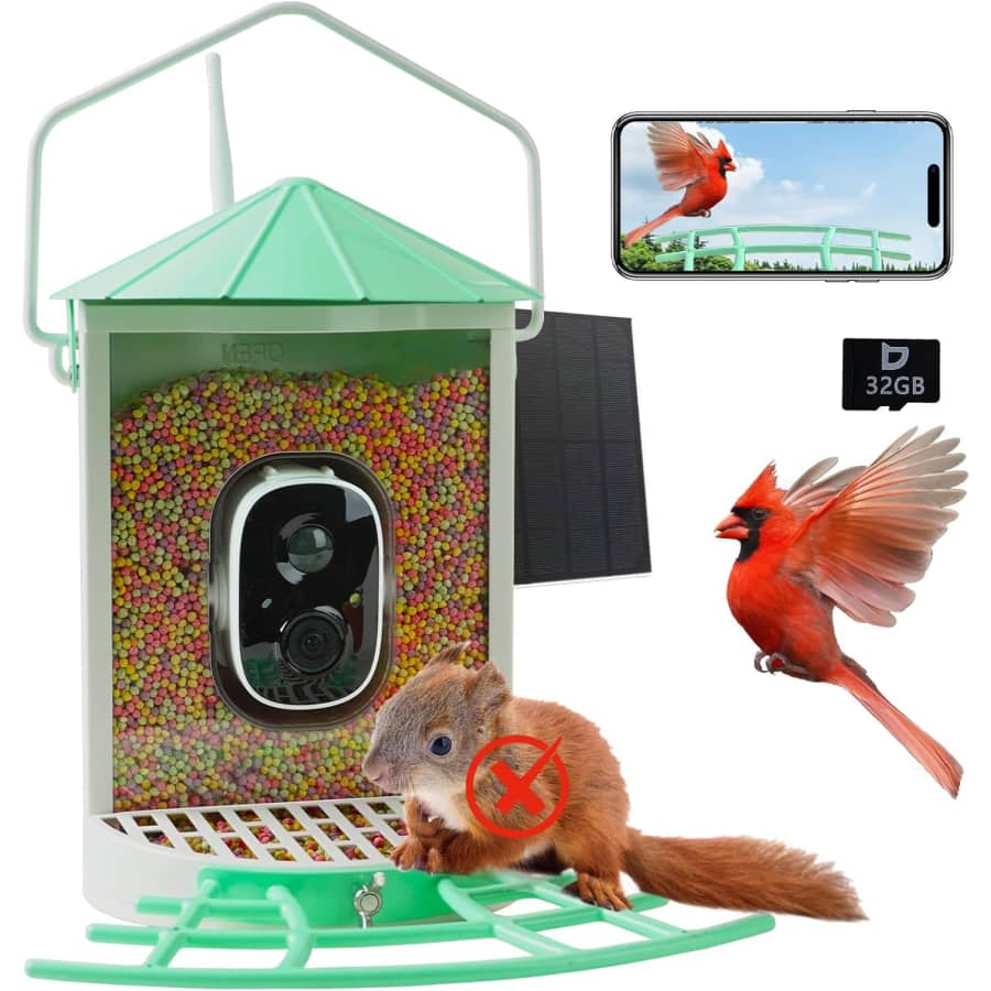 Smart Bird Feeder with Solar Panel for $91
