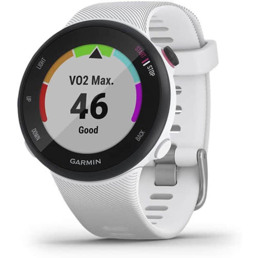 Garmin Forerunner 45S GPS Running Smartwatch for $179