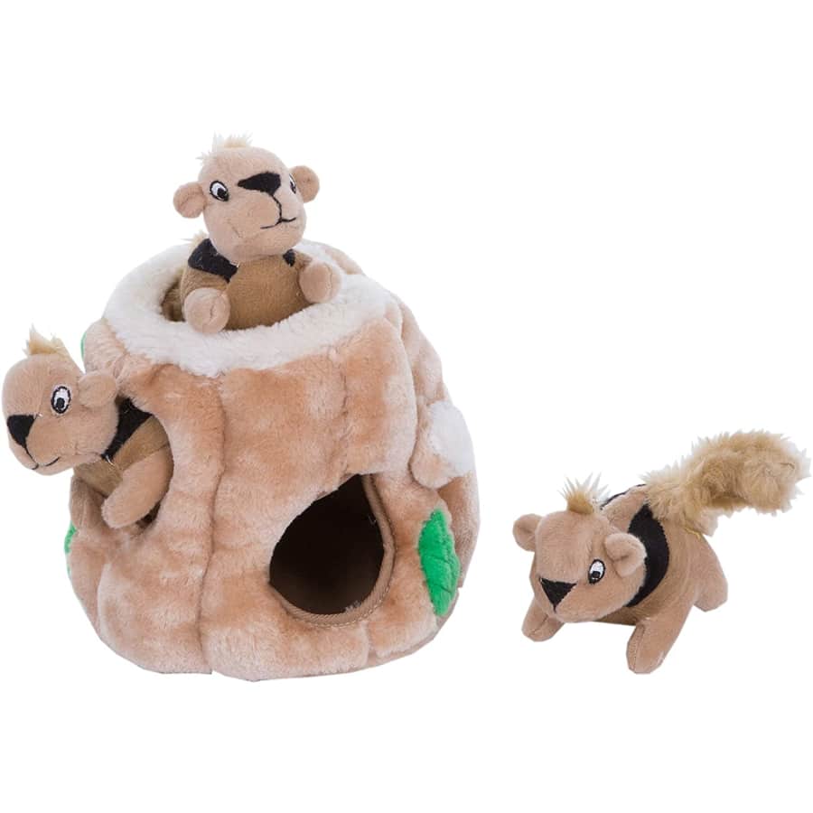 Outward Hound Hide-a-Squirrel Squeaky Puzzle Plush Dog Toy for $10 Outward Hound Hide-a-Squirrel Squeaky Puzzle Plush Dog Toy for $10