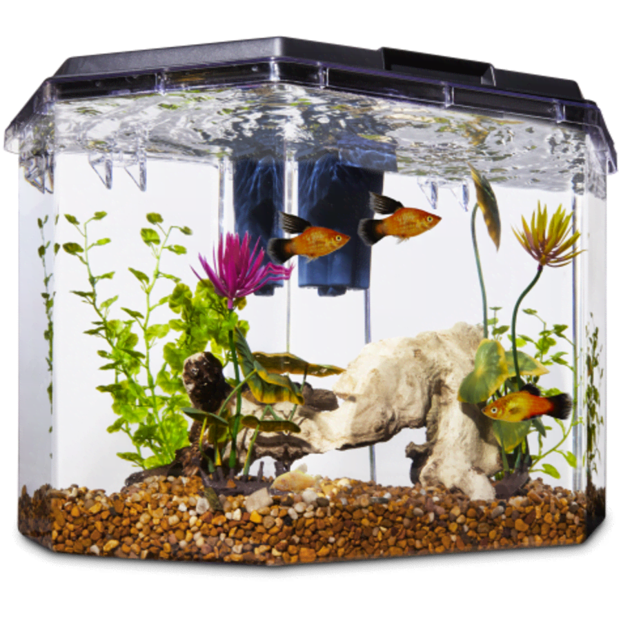 Imagitarium Semi-Hexagonal 6.7-Gallon Aquarium Kit for $47