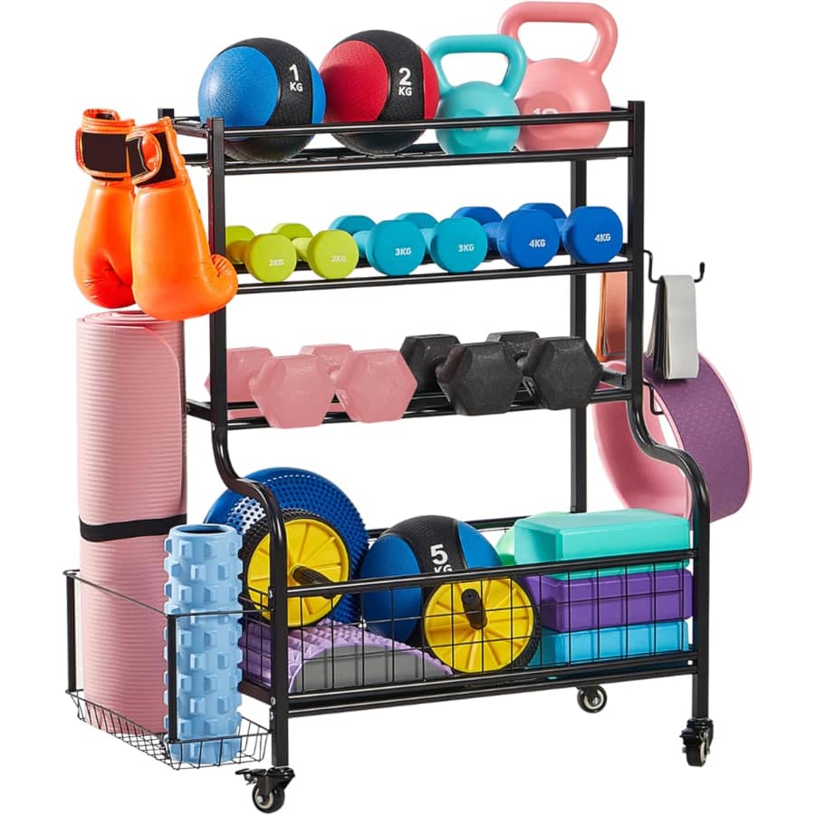 True & Tidy Dumbbell Storage Rack & Stand for $70