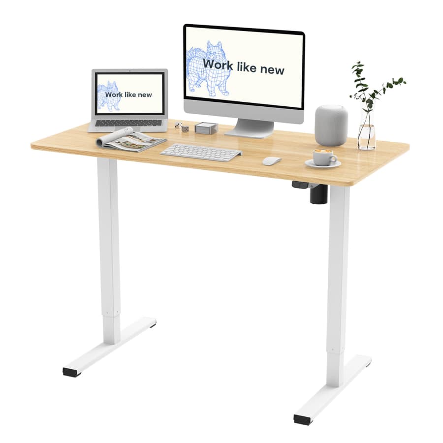 FlexiSpot 40" x 24" Adjustable Electric Standing Desk for $80