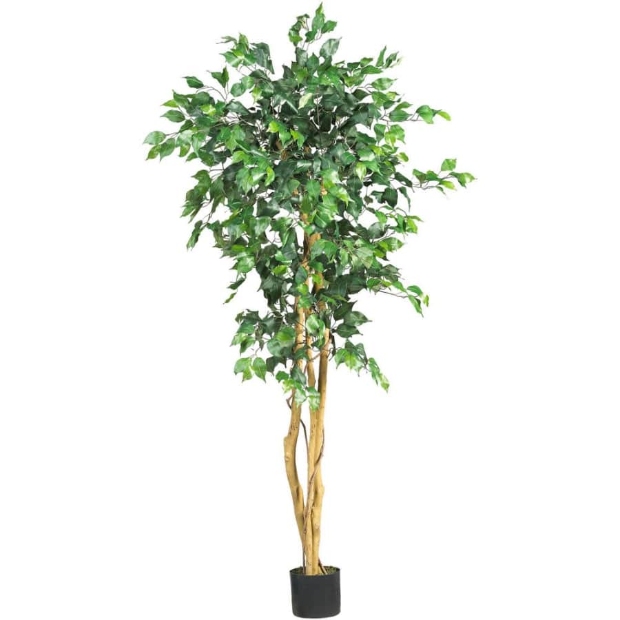Nearly Natural 5-Foot Indoor Artificial Ficus Tree for $40 Nearly Natural 5-Foot Indoor Artificial Ficus Tree for $40