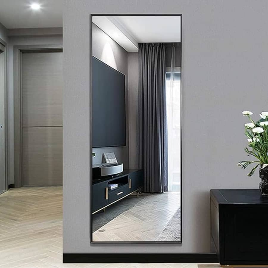 NeuType 65" x 22" Full Length Mirror for $88