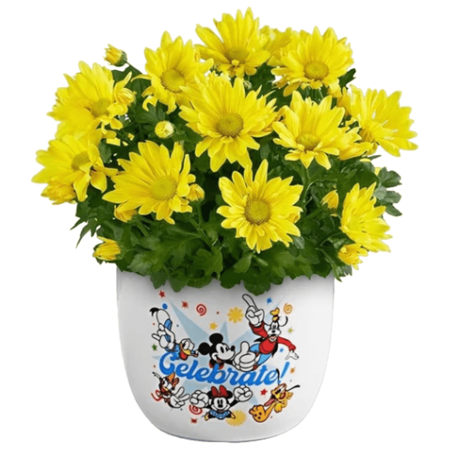 1-800-Flowers Plants & Garden Sale: Up to 40% off 1-800-Flowers Plants & Garden Sale: Up to 40% off