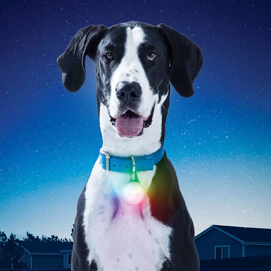 Nite Ize SpotLit XL Rechargeable LED Collar Light for $18