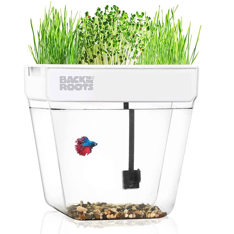 Back to the Roots Water Garden Mini Ecosystem for $58 Back to the Roots Water Garden Mini Ecosystem for $58