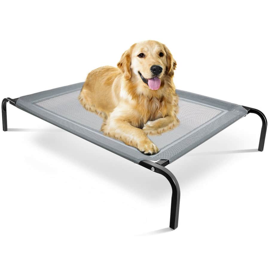 Elevated Dog Bed Lounger for $18 Elevated Dog Bed Lounger for $18