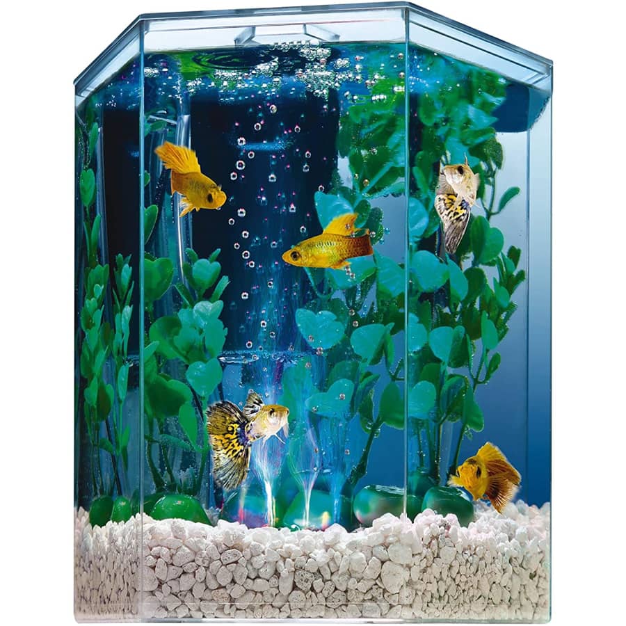 Tetra 1-Gal. Bubbling LED Aquarium Kit for $48
