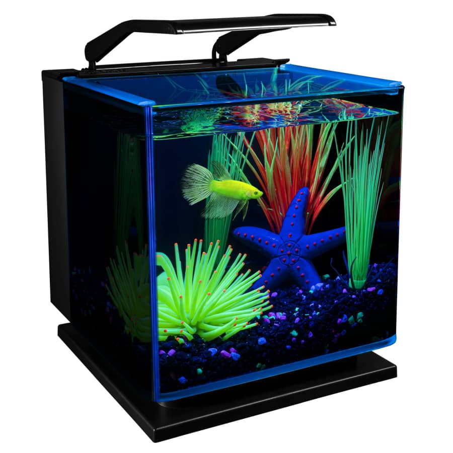 GloFish Betta Shadowbox Aquarium Kit for $36 GloFish Betta Shadowbox Aquarium Kit for $36