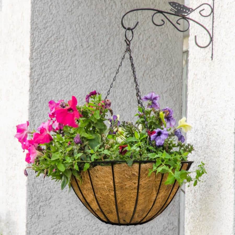 Hanging Planters at Home Depot: Under $10 Wow-Worthy Blooms
