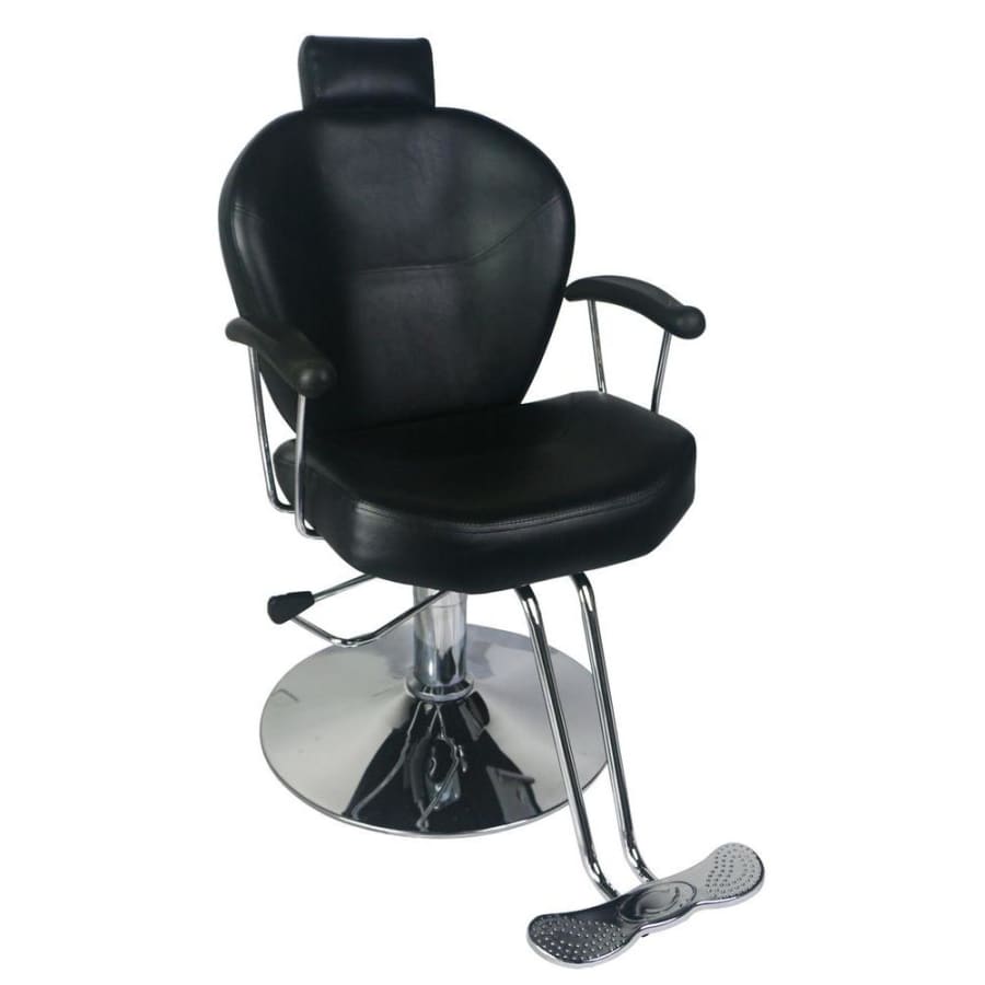 Boyel Living Faux Leather Hydraulic Lift Swivel Salon Chair for $224