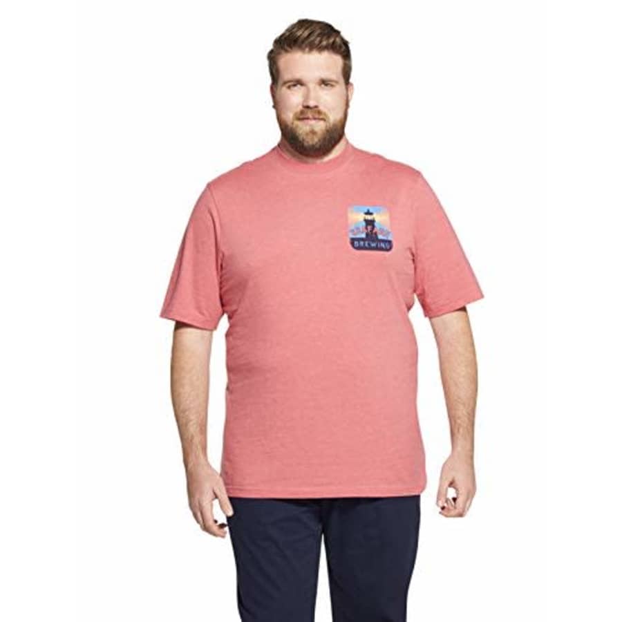 IZOD Men's Big Short Sleeve Graphic T-Shirt, Rapture Rose 2, Large Tall for $19