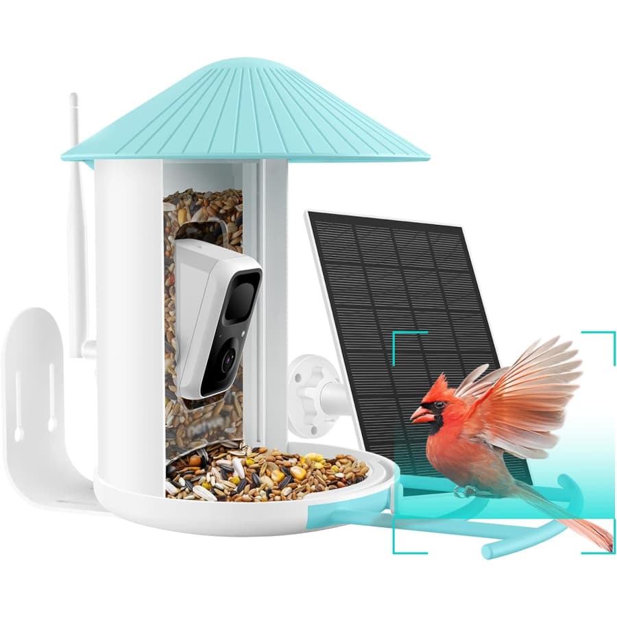 Netvue Birdfy AI Smart Bird Feeder w/ Camera, Solar Panel for $200