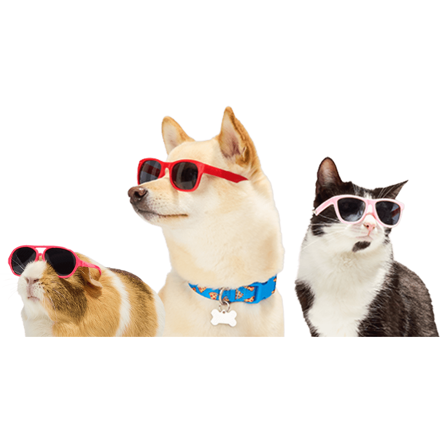 Petco Clearance Sale: Up to 60% off + extra 50% off