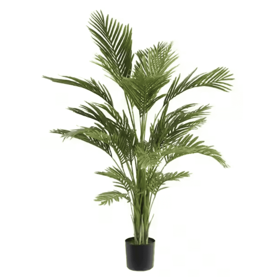 Noble House Gilliam 4-Foot Green Artificial Palm Tree for $61 Noble House Gilliam 4-Foot Green Artificial Palm Tree for $61